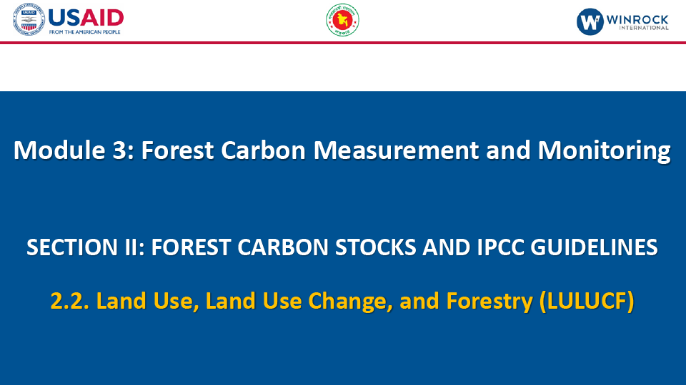 2.2. Land Use, Land Use Change, and Forestry (LULUCF)