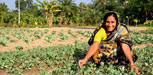 A woman tends a vegetable garden