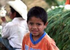 A boy helps his father prepare the onion harvest for market in Sololá in the Western Highlands region of Guatemala.