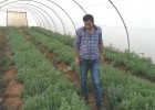 A USAID agronomist checks on the plants. “We applied the new magnetic water technology to plots of oregano and tarragon with the