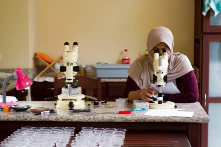 Students working at the microscope