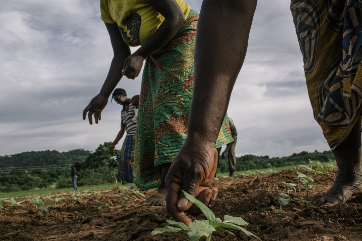 Women smallholder farmers are part of the over 21,500 vulnerable and rural poor households targeted through the USAID/FTF