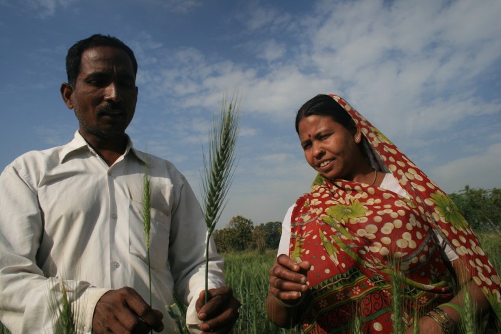 More than 760,000 farmers across India, Africa and Asia applied improved technologies and management practices.