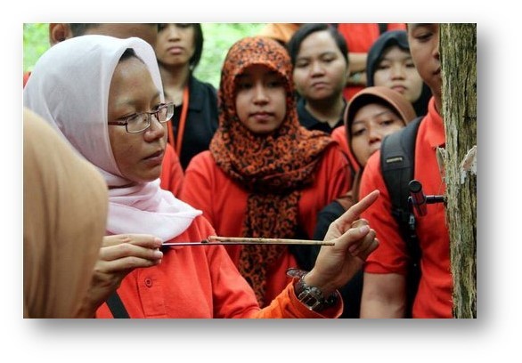 Researchers sample tree isotopes in Indonesia. Dr. Jamaluddin Jompa