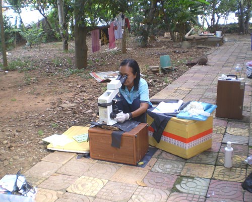 Stool samples are analyzed in Kampong Cham.