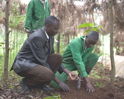 Mariaini bunge chair George Ngethe (suit jacket) works at the youth group’s nursery.