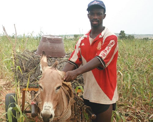 Northern Senegal is a long way from France, but Mamadou Doucouré, above, makes a living and helps his fellow farmers in the coun