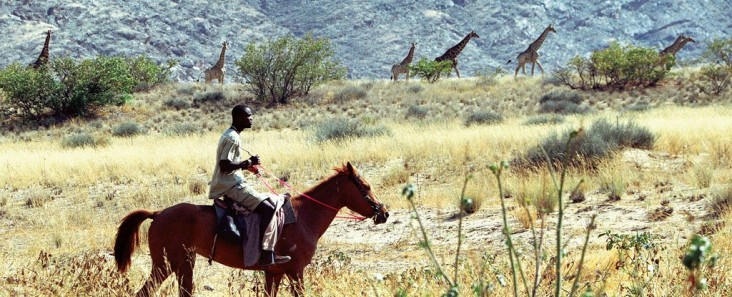 A community member rides his horse alongside giraffe in a game count in the Puros Conservancy of Namibia.