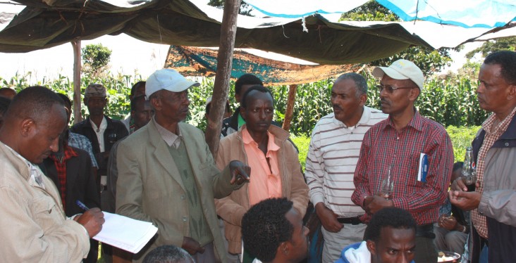 Farmer Bedasa Ofosea meets with community members and Ministry of Agriculture representatives.