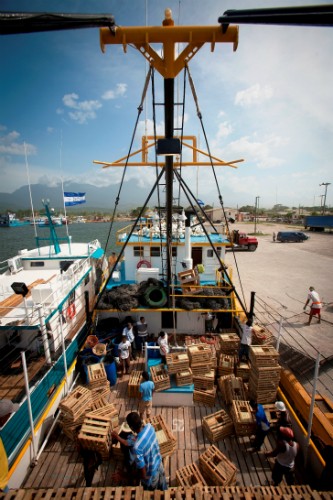 Industrial lobster trap boat in La Ceiba, Honduras