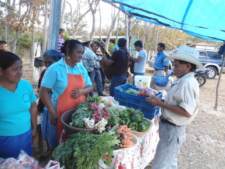 Herminia Gutierrez, left, and other women sell vegetables they grew with drip irrigation systems.