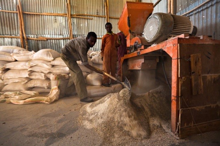 Increasing Food Security through Feed the Future – Grain processors in Ethiopia