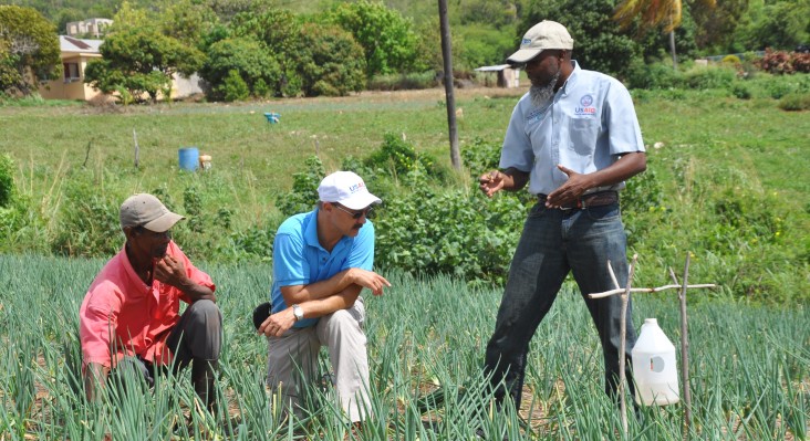 L to R: Farmer Hicks Holness; Paul Schmidke, USAID regional environmental adviser; Dean Passard, ACDI VOCA technical adviser