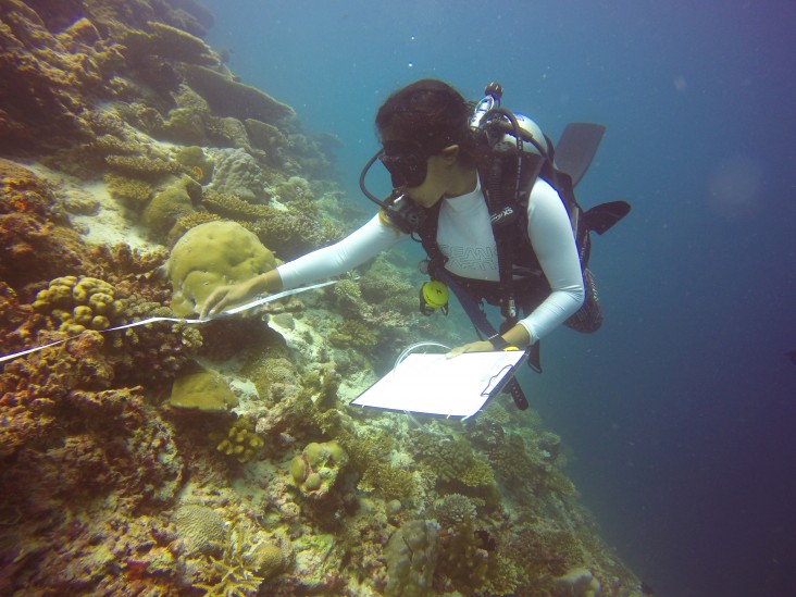 A citizen scientist in action. 