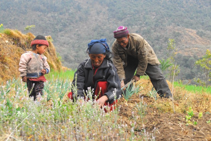 Kanchi Tamang and her husband prepare the fields to sow the seeds provided by Suaahara.