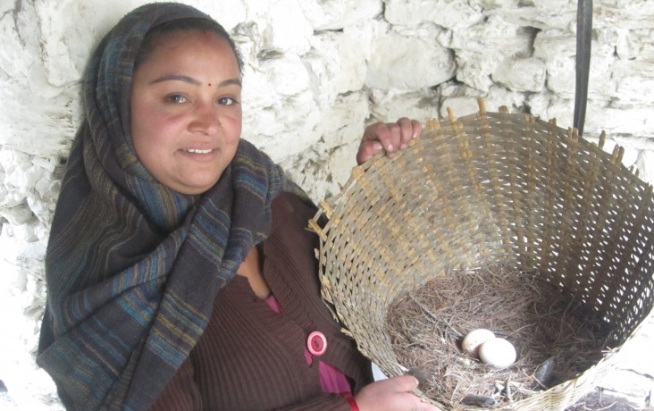 Nan Devi Ghotane shows eggs from the chickens provided by USAID.