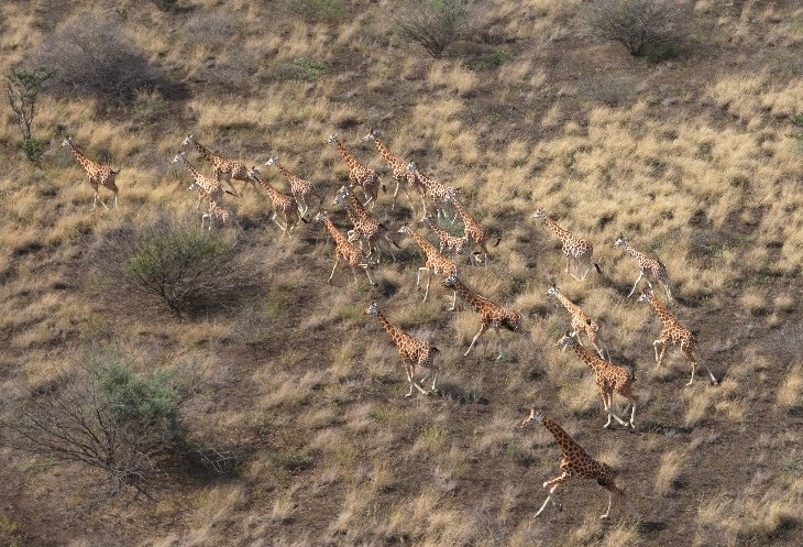 South Sudan environment