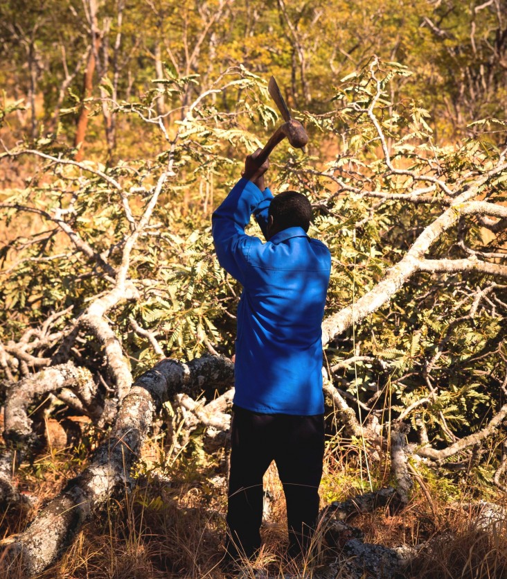 Thanks to improved kiln technology and alternative livelihoods, David Chamunda can afford to feed his family.