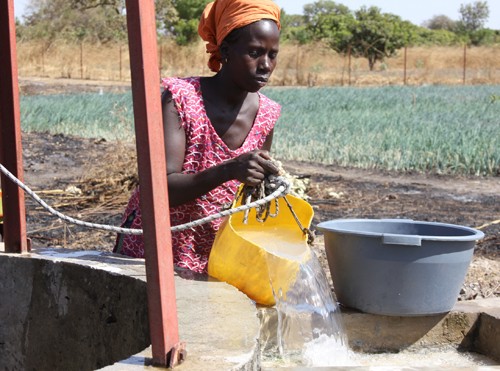 Diara Mané pours water from the well into a holding basin