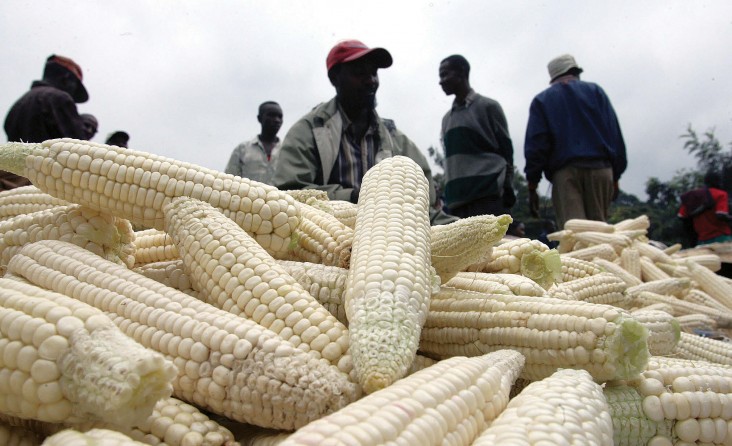 A Kenyan food vendor sells maize at his shop near Nairobi. Kenya’s Competition Authority found that a cluster of families coordi