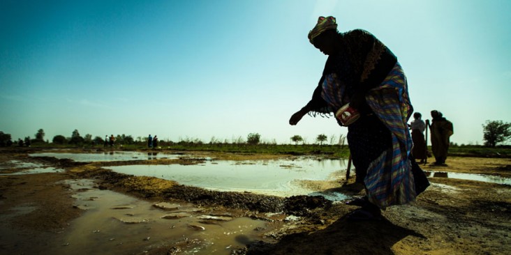 A woman sows seeds in Senegal