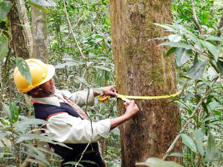 Provincial officials take part in forest monitoring training in Lam Dong, Vietnam.