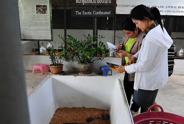 Thai law enforcement officials use WildScan to identify an endangered cockatoo during a recent training exercise.