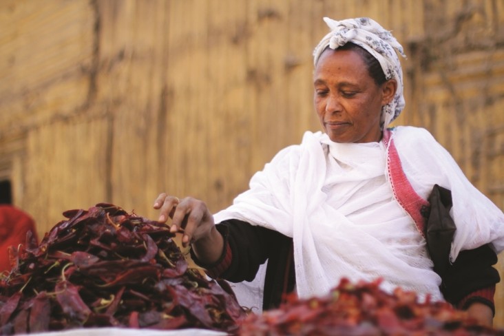 With this loan agreement, businesswomen like Asmeret will be able to apply for financing to expand their businesses.