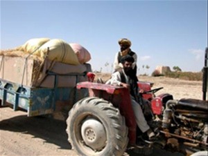 Abdul Aquil, at the wheel of his tractor, brings crops to market on the Jaghatu to Rashidan road. "The road increases trade betw