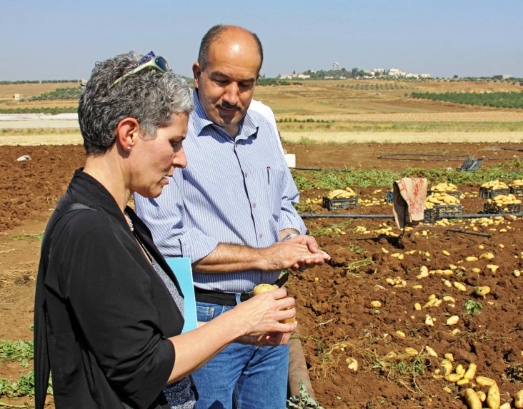 A Palestinian farmer explains to USAID's Mara Rudman the difference between regular potatoes and those grown for Al Salam