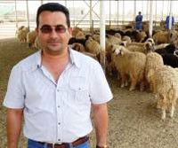 USAID helped Ahmad Alsaabari establish a demonstration feedlot to raise sheep and teach farmers new feeding, monitoring and mark