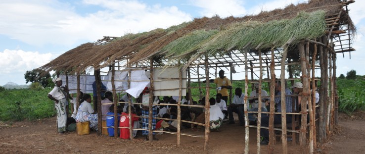 The Morrumbala community farmers' association meets to exchange best practices in this enclosure on the farm of the group's pres