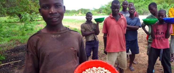 Cashew farmers and their children sell roadside as part of Mozambique’s informal cashew trade. Around three-fourths of the count