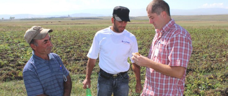 Potato farmers in the Samtskhe Javakheti region of Georgia discuss crop quality.