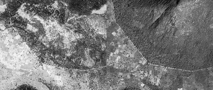 This satellite image comparison of the southern part of the Balayan-Souroumba National Forest from 1967, left, and 2007, right, 