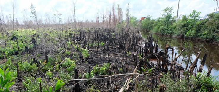 Fire destruction on peatlands