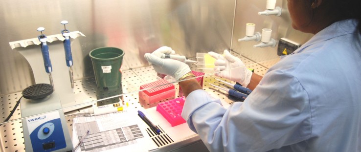 A scientist tests cases at the DNA facility in Sri Lanka.