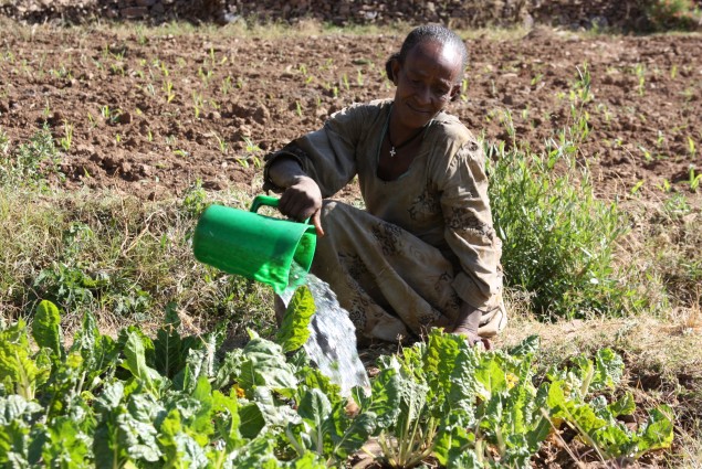 Food Security: A Family Affair