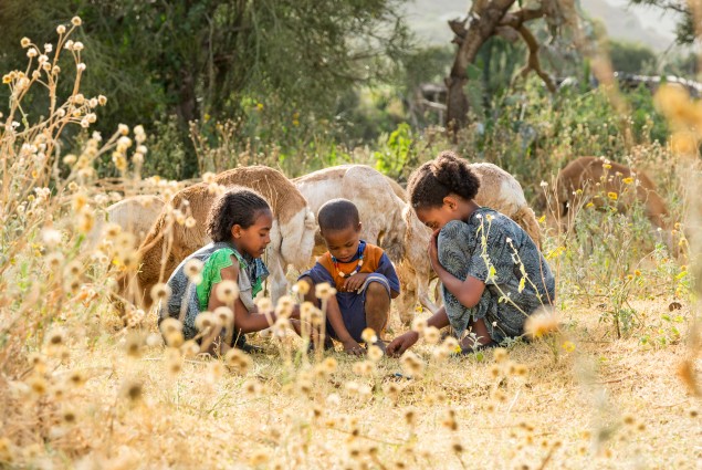 Diversified income. Thanks to USAID, Tumay Asebir and his wife Alem Tekle and their family (three of his children are shown here) are engaged in everything from sheep rearing and fattening to producing vegetables, grains, and honey. They even run a small transportation business with their mule cart. Their assets, which now include 21 sheep, 10 cattle, a cart, beehives, and a year's worth of food in storage, continue to grow.