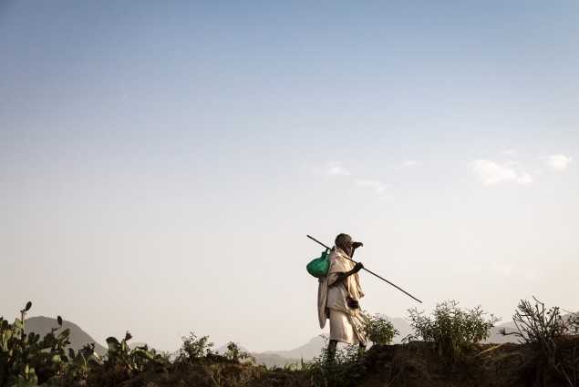 A man climbs a hill and looks out toward the sunset.