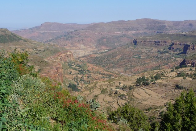 Tigray Valley