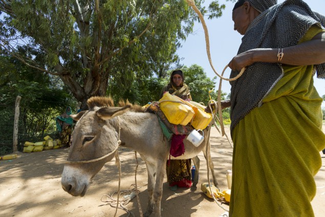 Fafan Milk Cooperative