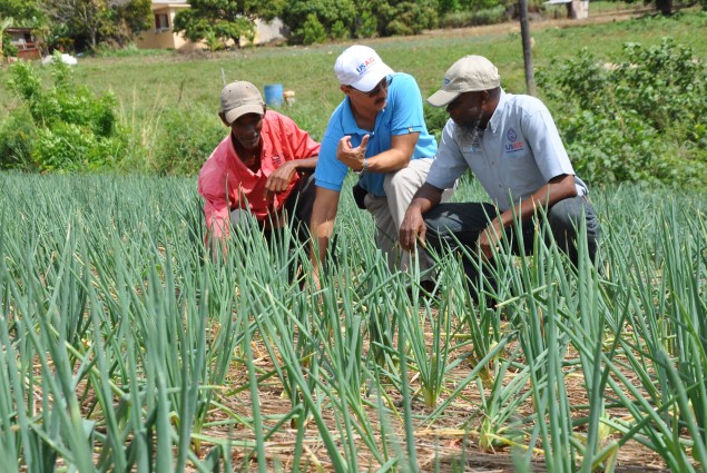 Regional Environmental Advisor Visit to Jamaica