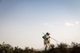 A man climbs a hill and looks out toward the sunset.