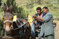 Diversified income. Thanks to USAID, Tumay Ashebir and his wife Alem Tekle and their family are engaged in everything from sheep rearing and fattening to producing vegetables, grains, and honey. They also have a garden and run a small transportation business with their mule cart. Here, Tumay works with his son and their mule cart. Their assets, which now include 21 sheep, 10 cattle, a cart, beehives, and a year's worth of food in storage, continue to grow.