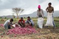 Alternative livelihoods for youth. Over the last three years, Mola has used the lessons he learned through USAID's Graduation with Resilience to Achieve Sustainable Development activity to build a better life for his family. Today he is using these same lessons to help the young people in his community find a brighter future at home.