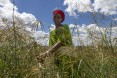 Cutting Grass for her Animals