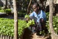 Abdi Farah in his Nursery