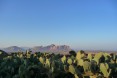 Tigray Horizon