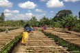 Drought-resistant Farming